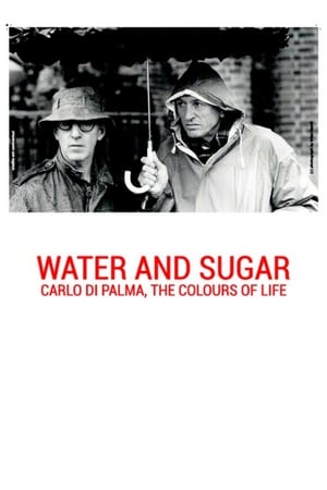 Poster Water and Sugar: Carlo Di Palma, the Colours of Life (2016)