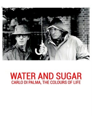 Poster Water and Sugar: Carlo Di Palma, the Colours of Life 2016