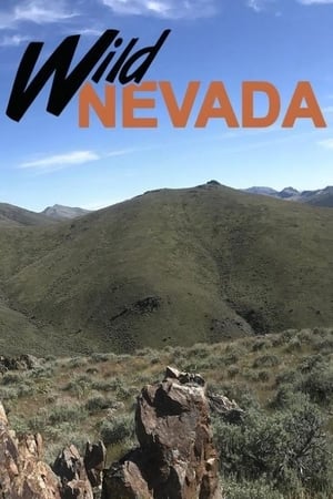 Poster Wild Nevada 2001