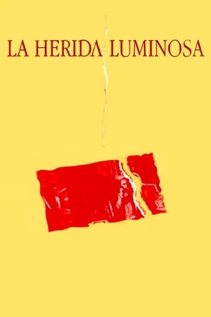 Poster La herida luminosa 1997