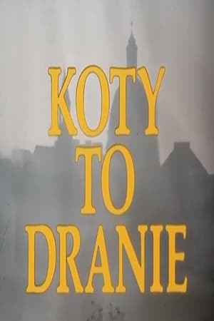 Poster Koty to dranie 1978