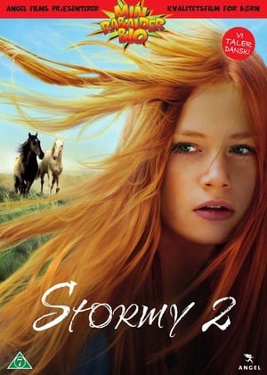 Poster Stormy 2 2015