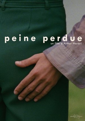 Poster Peine perdue (2013)