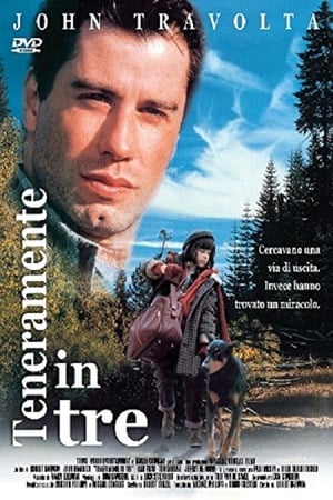 Poster Teneramente in tre 1991