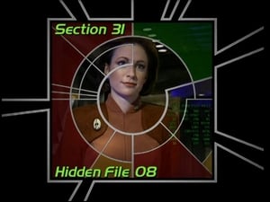 Image Section 31: Hidden File 08 (S01)