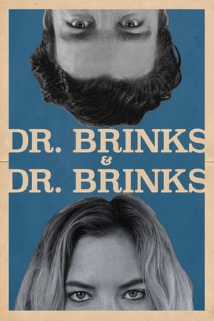Poster Dr. Brinks & Dr. Brinks (2017)
