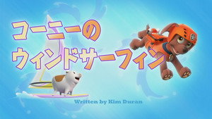 コーニーのウィンドサーフィン
