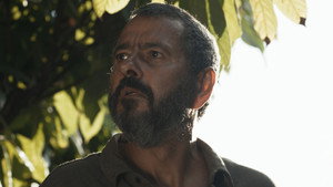 Rebirth S01E186