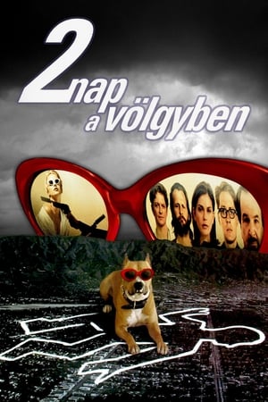 Poster 2 nap a völgyben 1996