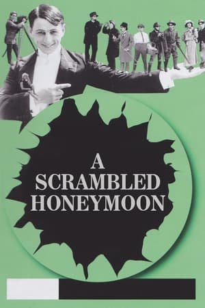 Poster A Scrambled Honeymoon (1916)