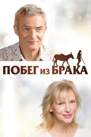 Побег из брака