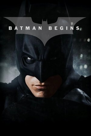 Batman Begins (2005)