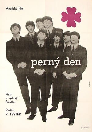 Poster Perný den 1964