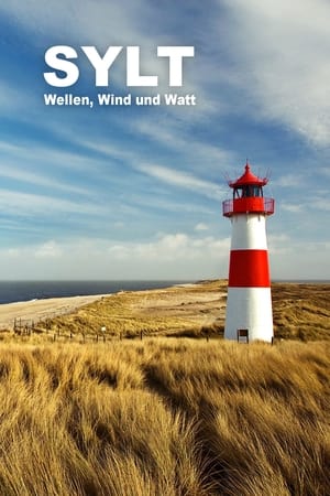 Poster Sylt - Wellen, Wind und Watt 2023
