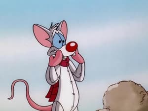 Pinky & der Brain: 3×37