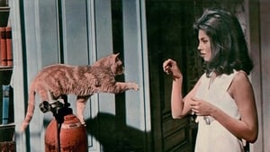 Eye of the Cat film complet