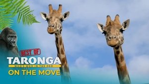 On the move