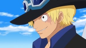 One Piece: Season 17 Episode 737