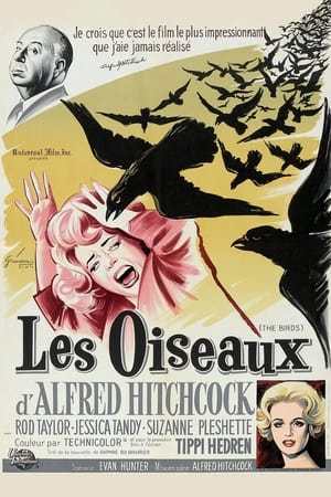 Poster Les Oiseaux 1963