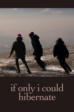 If Only I Could Hibernate 8