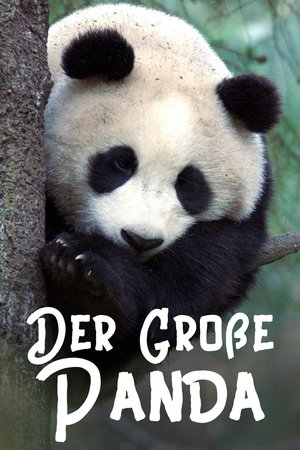 Image Der Große Panda