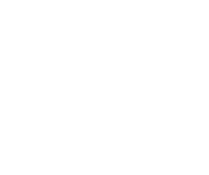 Pale Flower — Logos 3