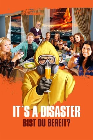 It's a Disaster (2013)