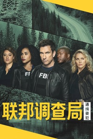 Image 联邦调查局：通缉要犯