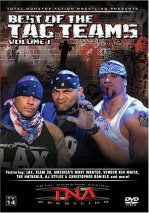 Poster TNA Wrestling: Best of Tag Teams, Volume 1 2007