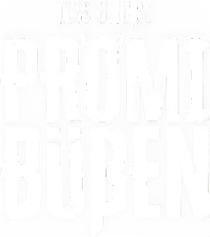 Das große Promi-Büßen — Logos 1
