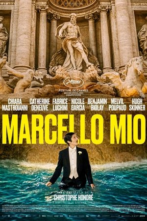 Image Marcello Mio