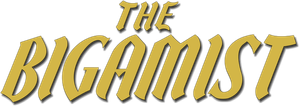 The Bigamist