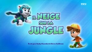 Paw Patrol Helfer auf vier Pfoten: 5×44