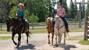 Heartland – Paradies für Pferde: 12×5