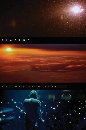 Image Placebo: We Come In Pieces