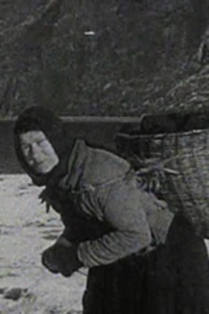 A Crofter's Life in the Shetlands film complet