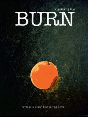 Poster Burn (2011)