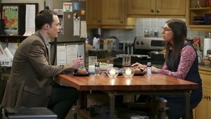 The Big Bang Theory 8 x 20