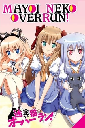 Image Mayoi Neko Overrun!