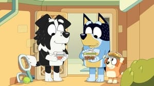 Bluey Season 3 Episode 9