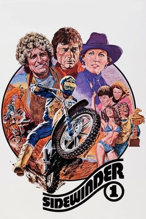 Poster Sidewinder 1 1977