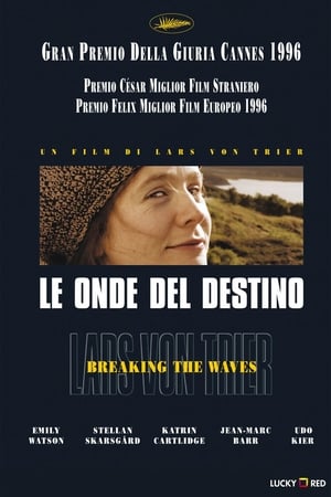 Poster Le onde del destino 1996