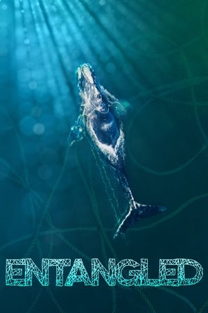 Poster Entangled 2020