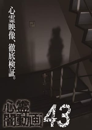 Image 心霊闇動画43