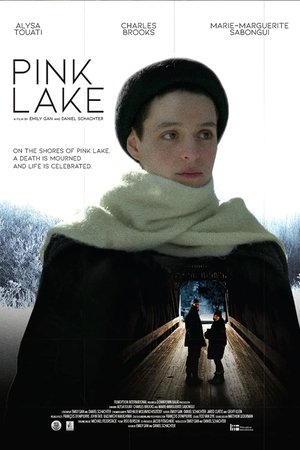 Poster Pink Lake (2022)