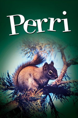 Perri 11