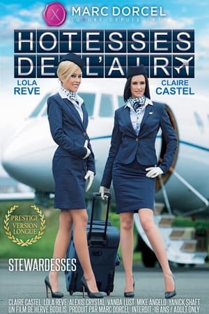 Poster Stewardesses (2015)
