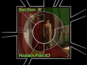Image Section 31: Hidden File 10 (S02)