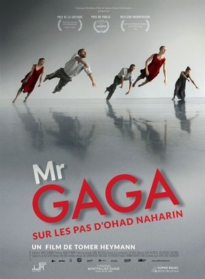 Image Mr Gaga