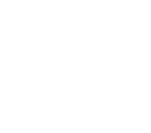 The COVID Experience — Logos 1